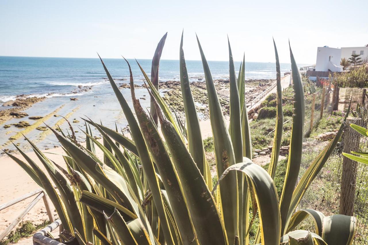 Adosado Nuevo Con Piscina, Playa, Garaje Y Jardin Los Canos De Meca Exteriér fotografie