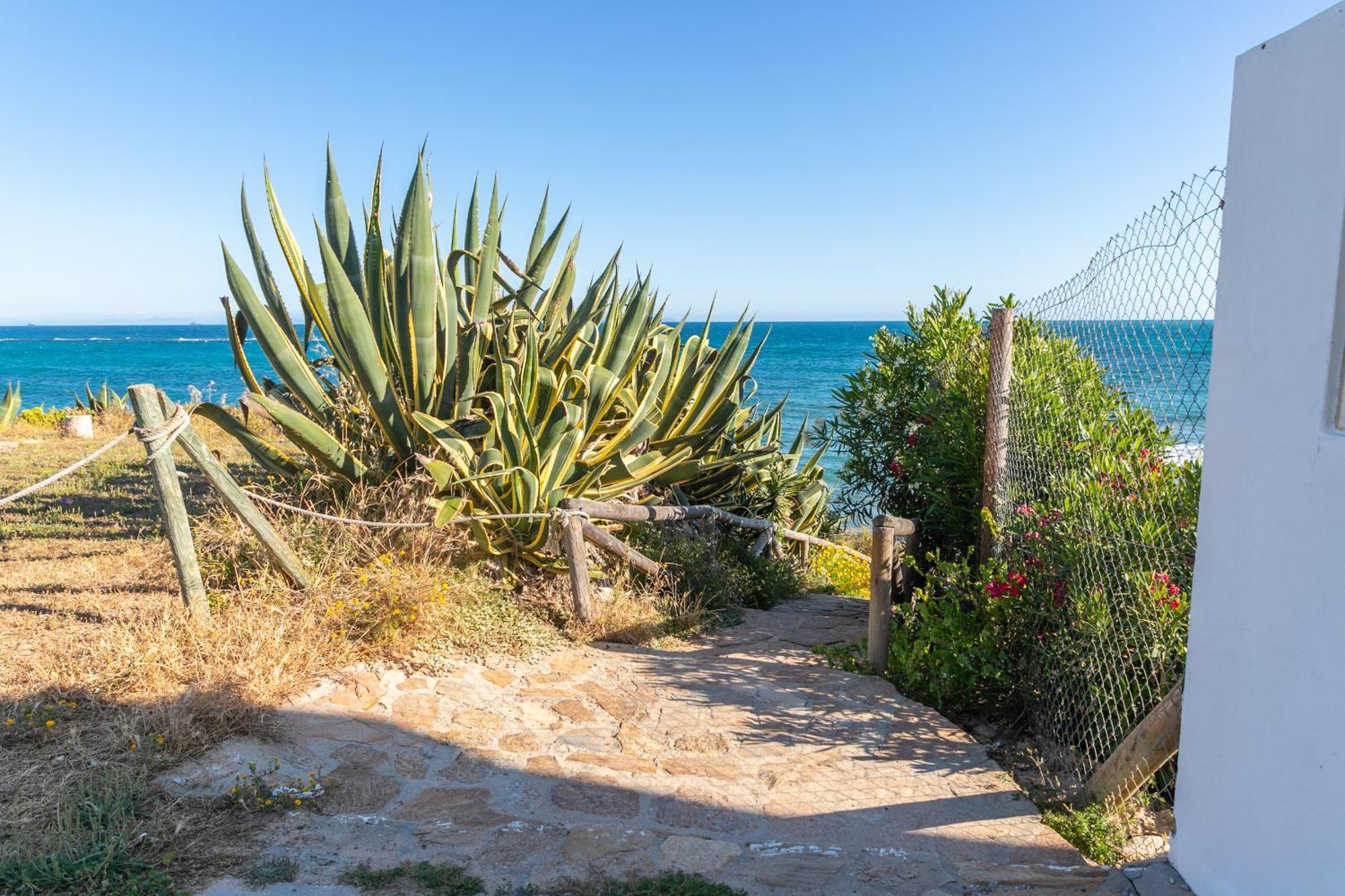 Adosado Nuevo Con Piscina, Playa, Garaje Y Jardin Los Canos De Meca Exteriér fotografie